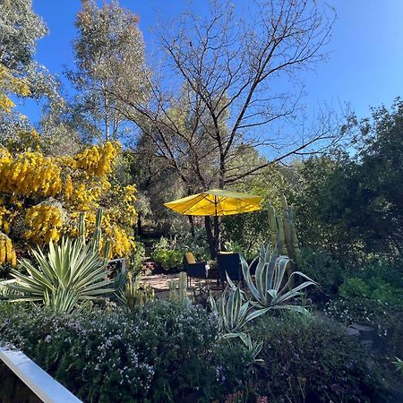Villa La Reforma - Newly Designed 4Br House & Pool In Los Angeles By Topanga Eksteriør bilde