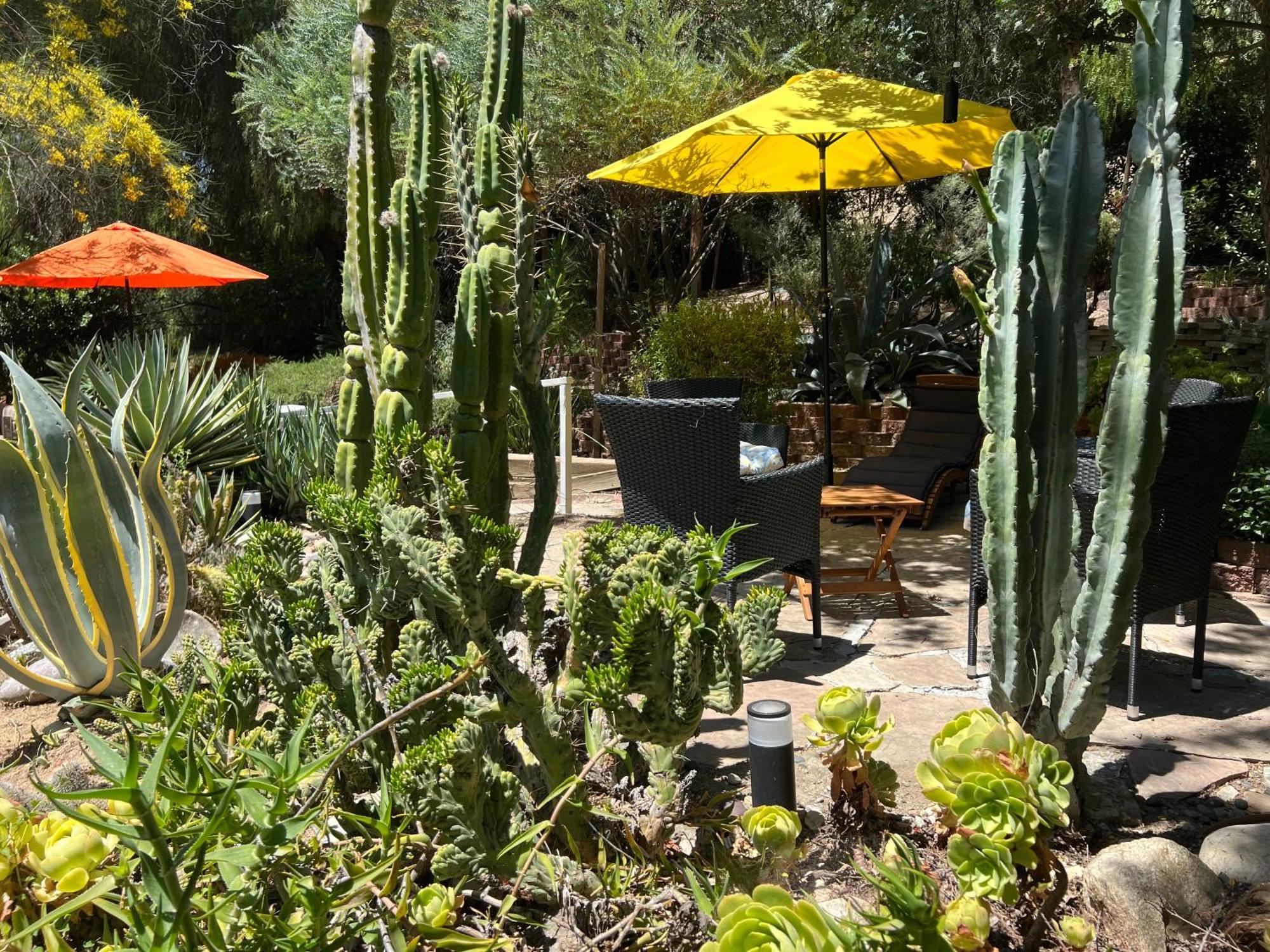 Villa La Reforma - Newly Designed 4Br House & Pool In Los Angeles By Topanga Eksteriør bilde
