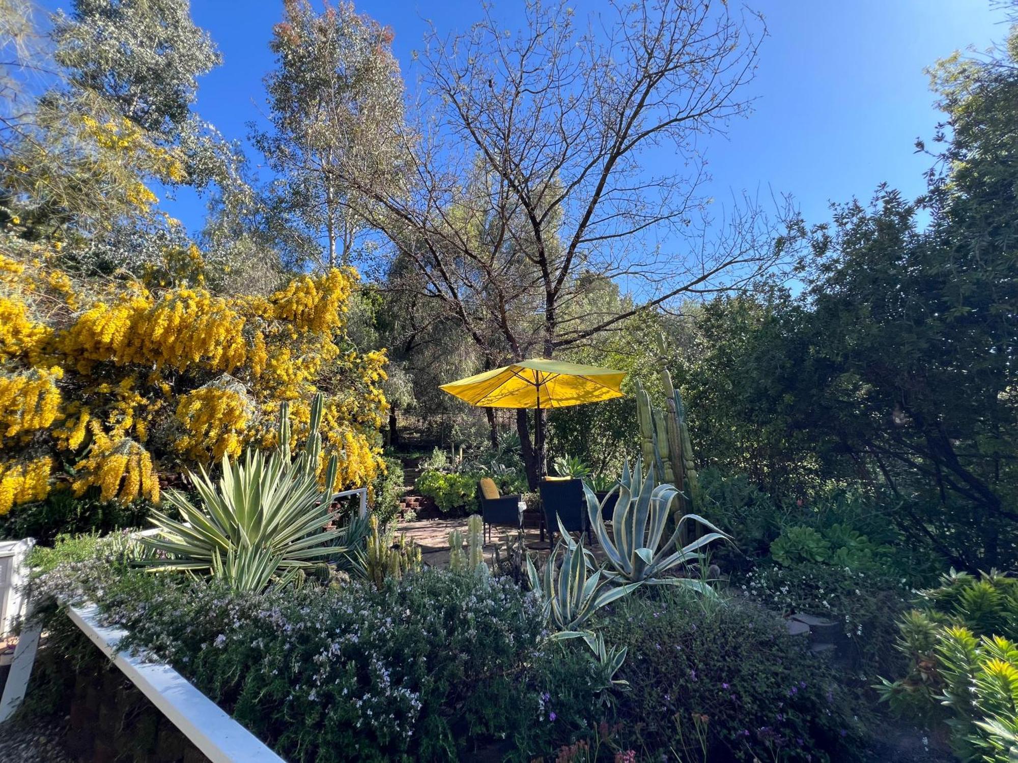 Villa La Reforma - Newly Designed 4Br House & Pool In Los Angeles By Topanga Eksteriør bilde